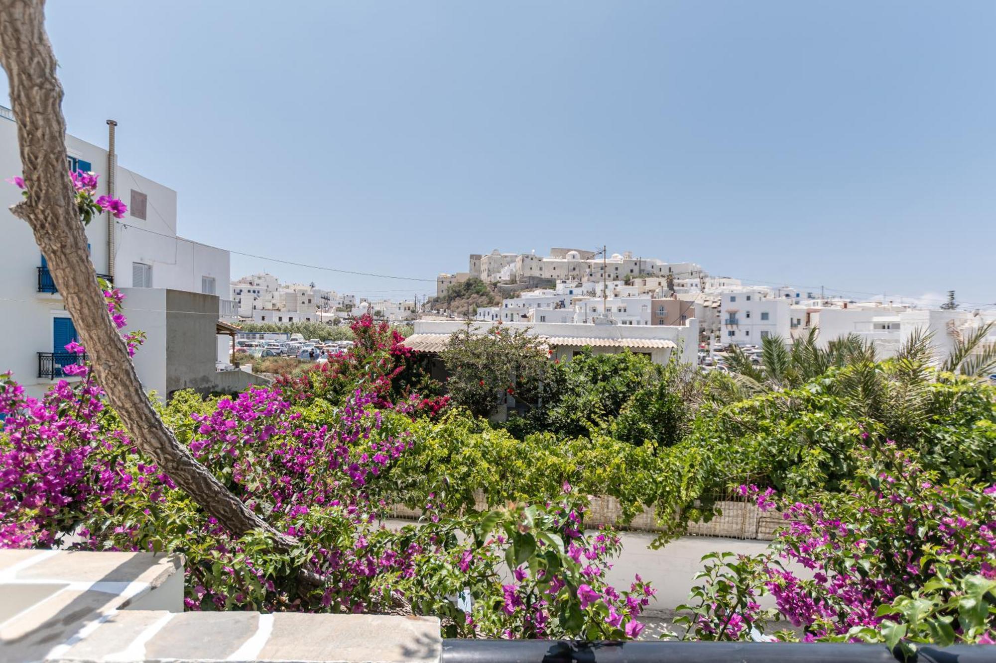 Sofi Pension Naxos City Exterior photo